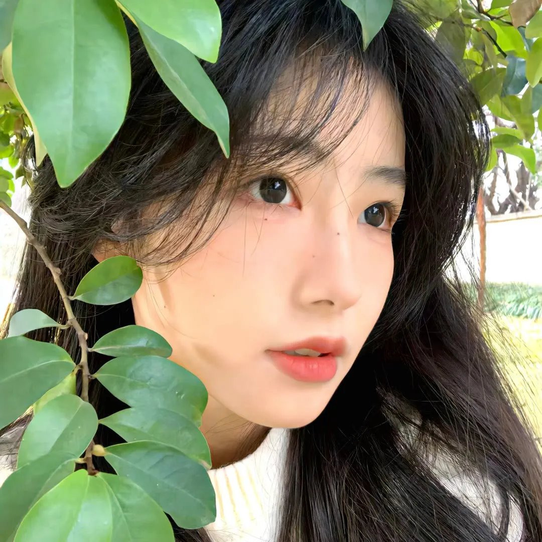 拉拉队员都死了